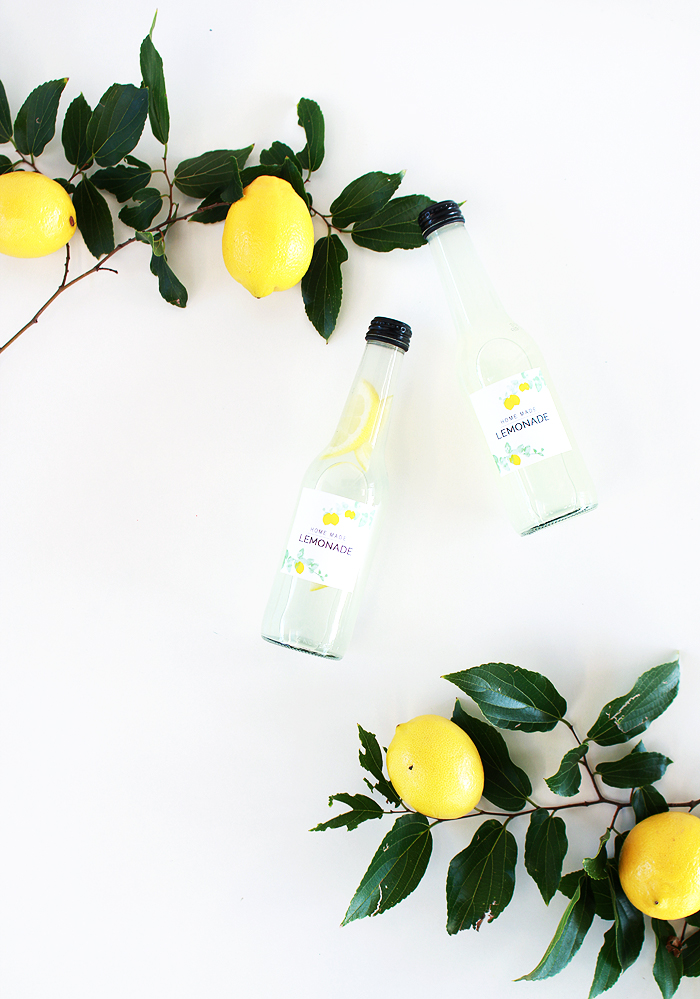 Download these FREE Lemonade Bottle Labels PLUS a recipe for the best home made lemonade!